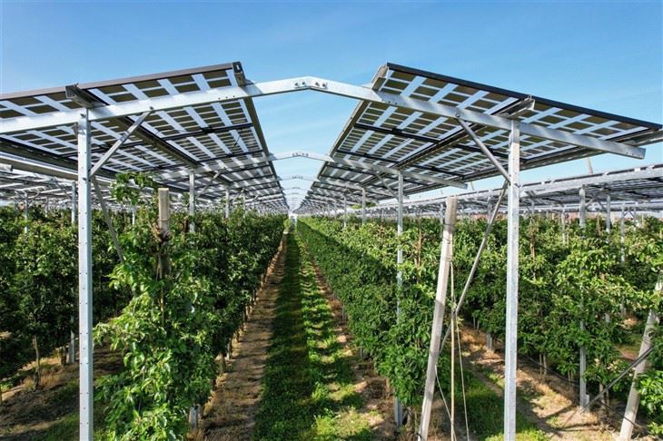 Ground Mounted Solar Farm